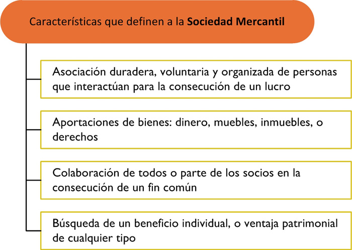 Sociedad Mercantil